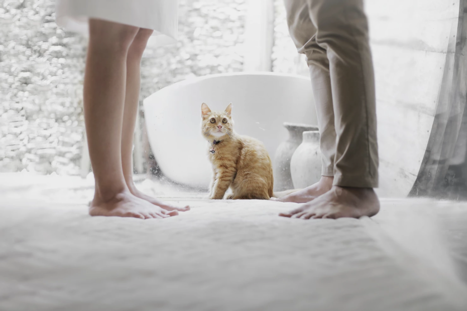 Couple with Cat